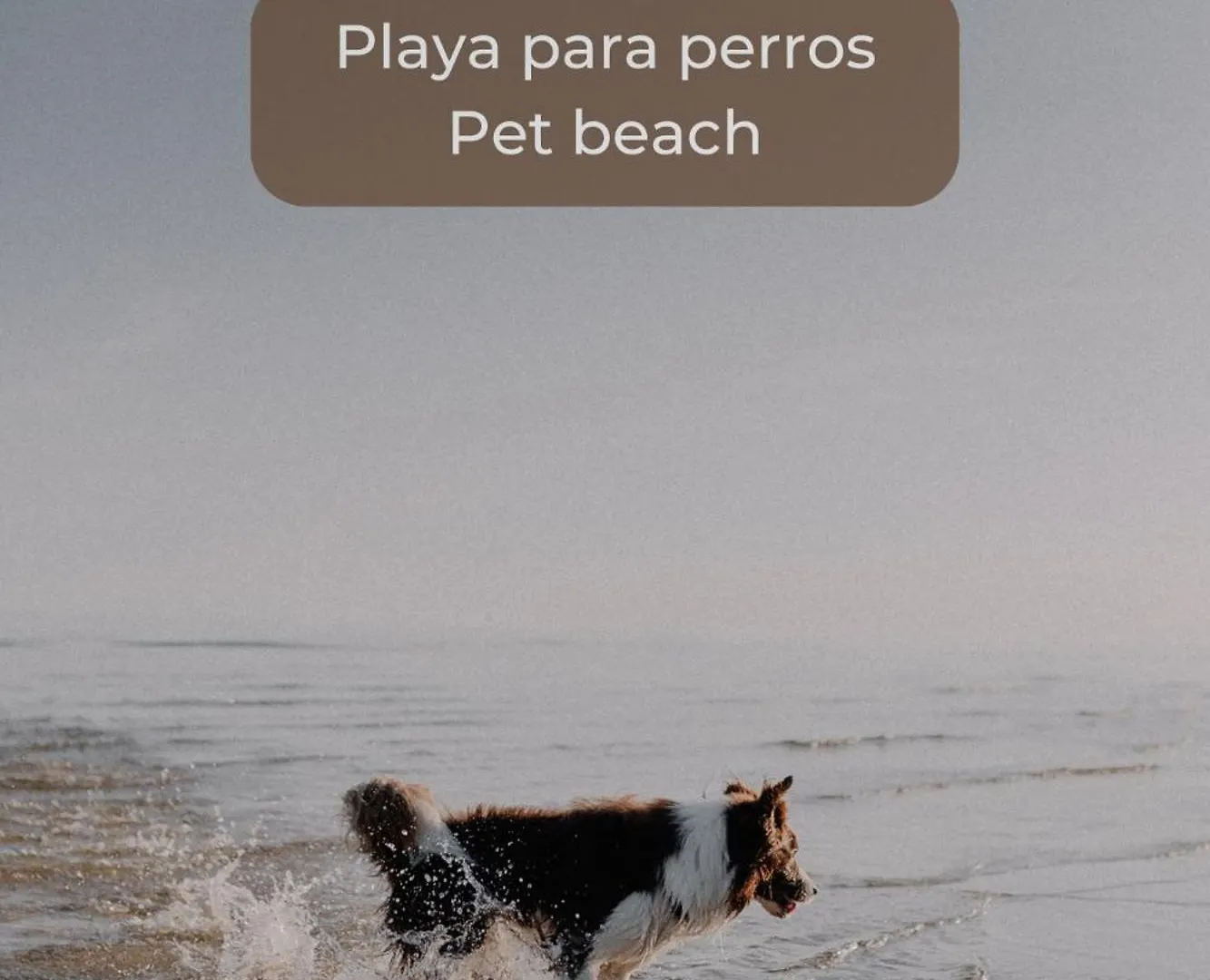 Апартаменты Salty Loft En El Centro De Corralejo, Terraza Privada, Cocina Completa Y Wifi